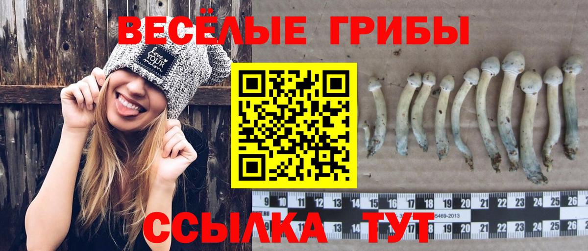 Курганинск  Псилоцибиновые грибы прущие грибы  Вход с VPN 