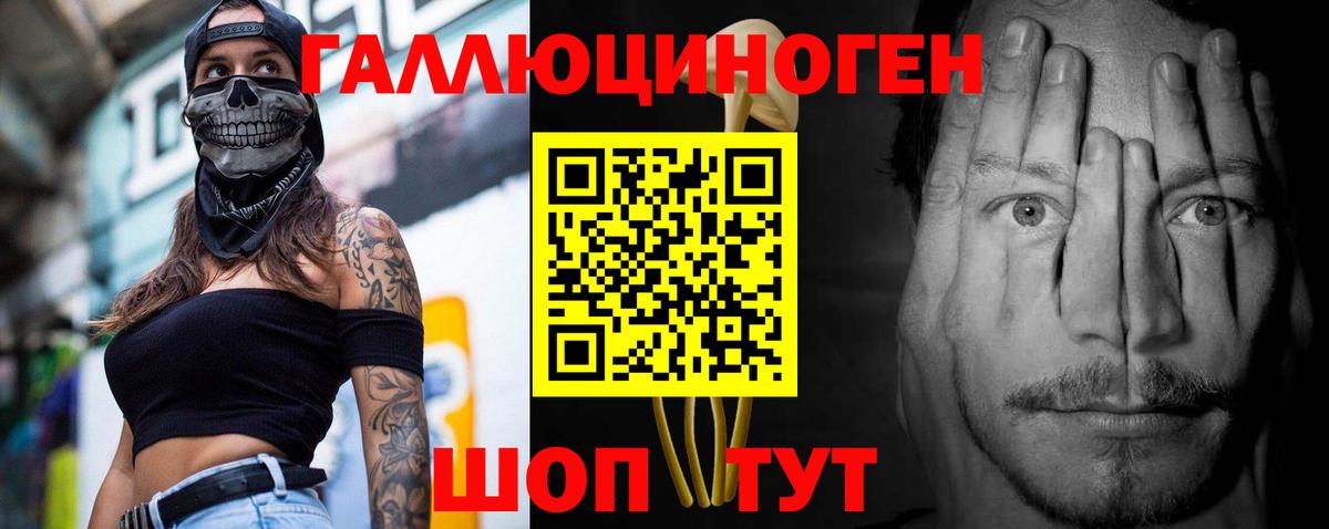 Псилоцибиновые грибы GOLDEN TEACHER Курганинск